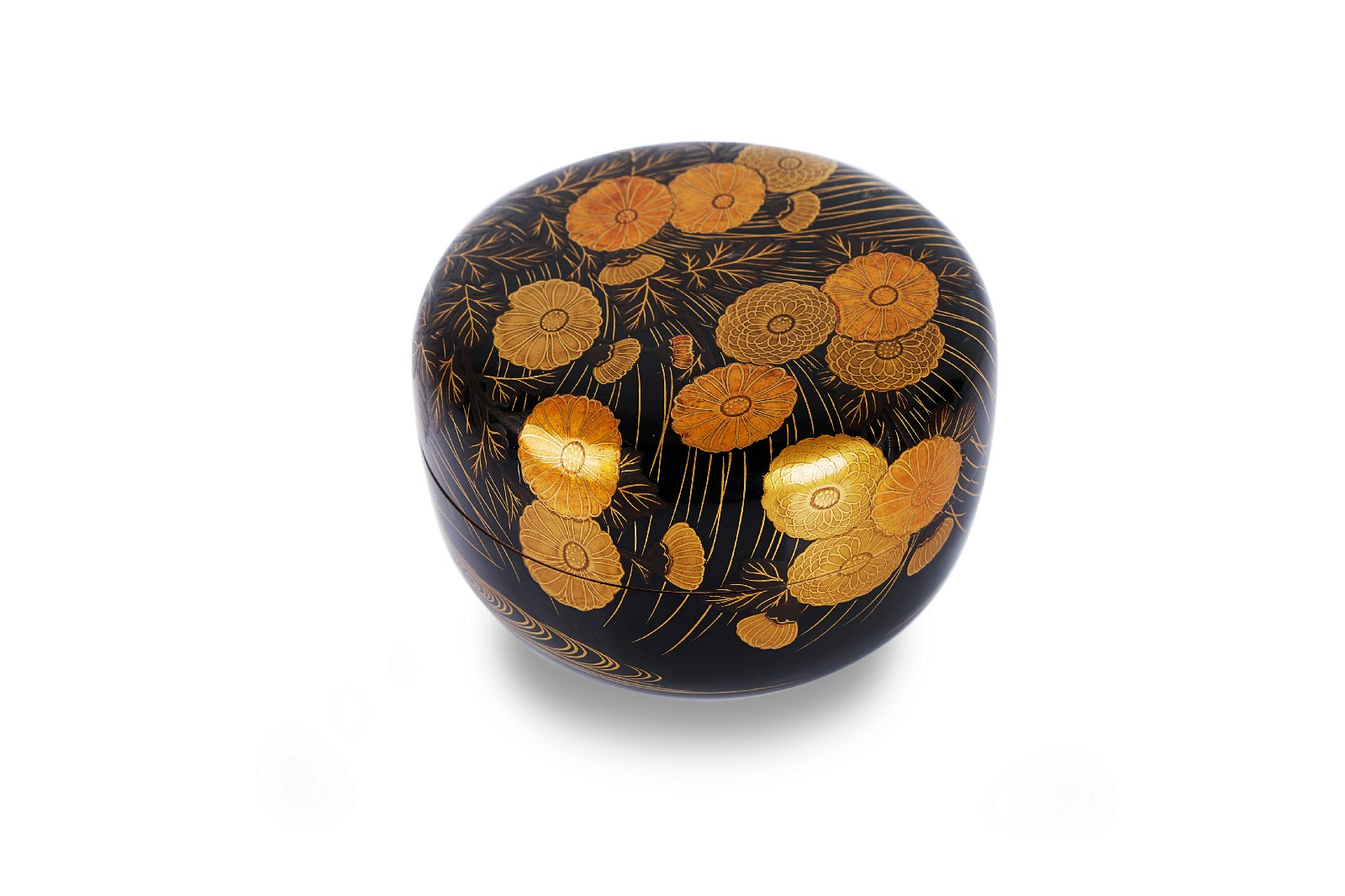 千代金菊 金莳绘 茶枣