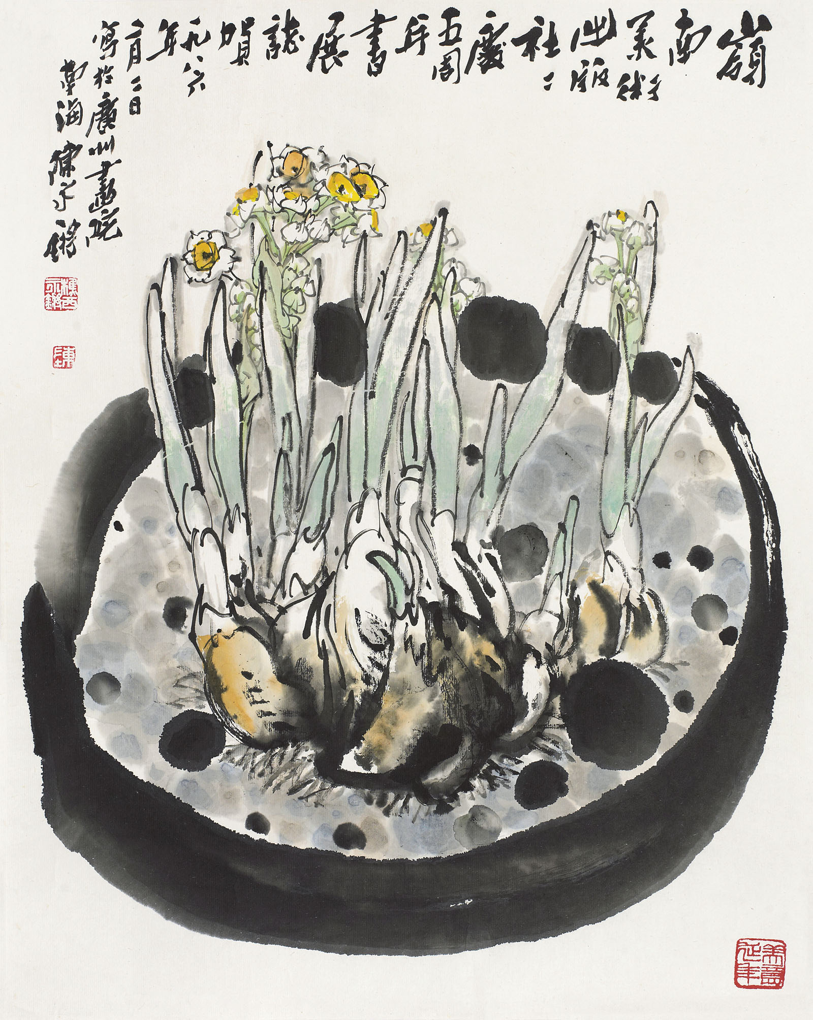 水仙 