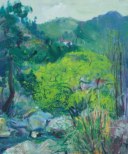 大围山风景