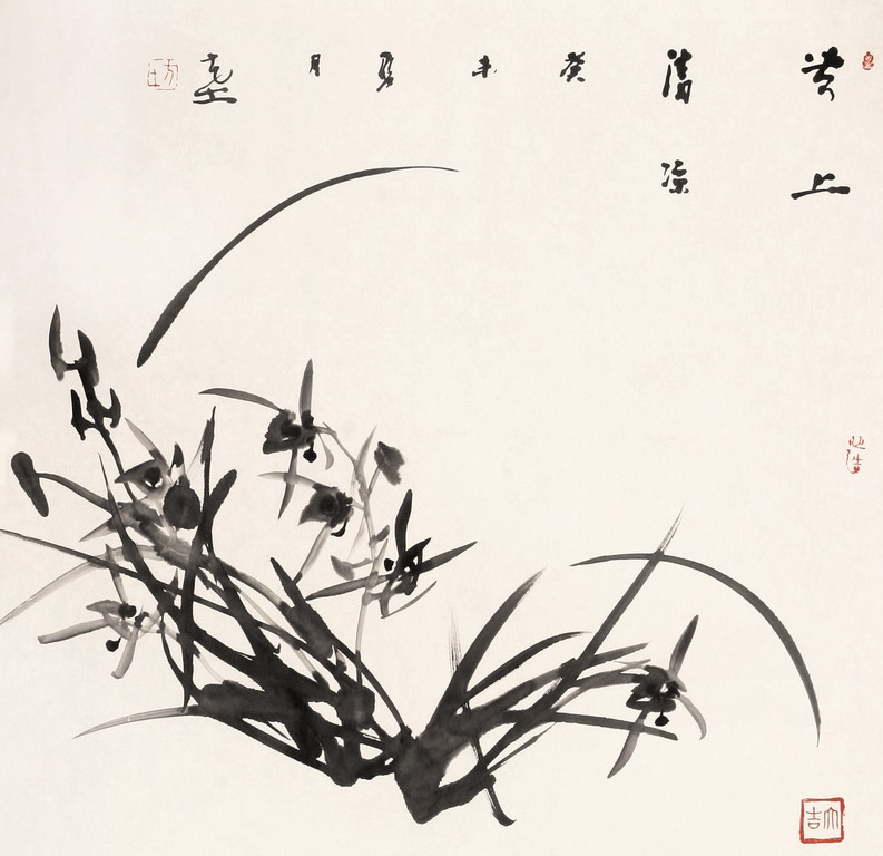兰花