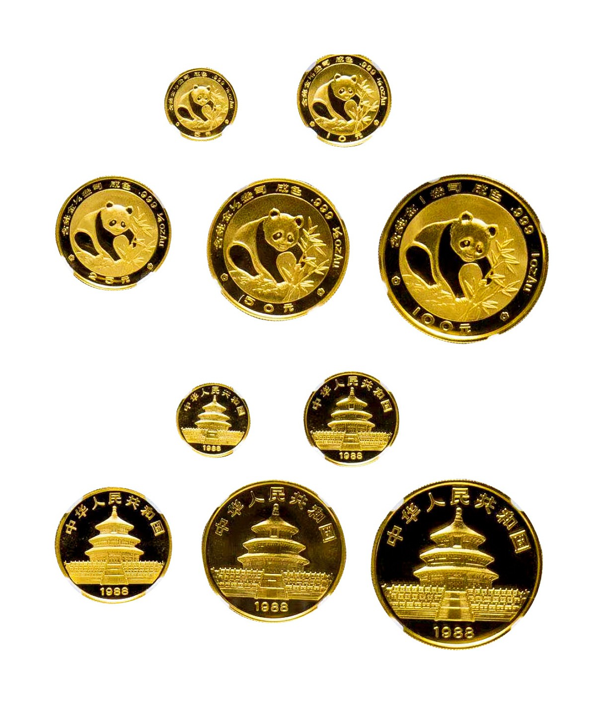 1988年熊猫精制金币一套五枚 NGC PF69
